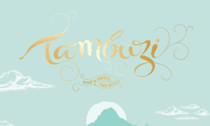 Tambuzi logo